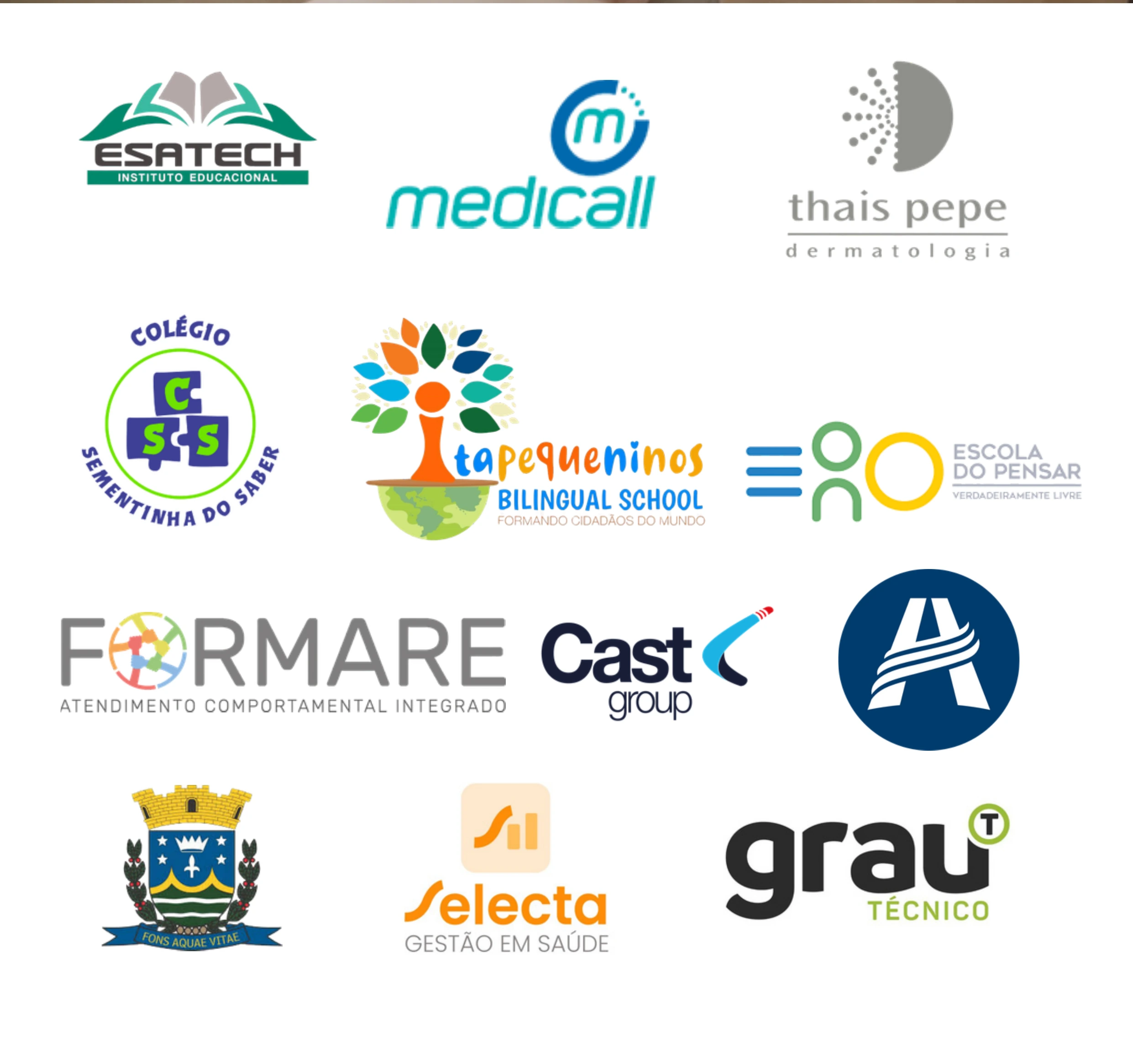 Logotipos de algumas organizações atendidas pelo Instituto SEA